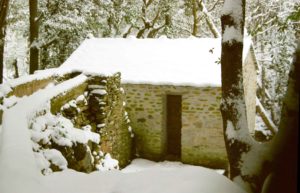 Mulinu vivu sous la neige